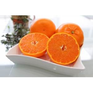 主井農園のせとか　サイズ混合　2kg【配送不可地域：離島】【1441418】