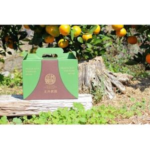 主井農園のカラマンダリン サイズ混合 2kg【配送不可地域:離島】【1441433】