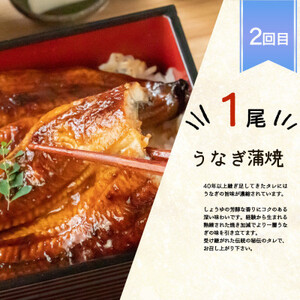 【毎月定期便】魚鶴商店が選ぶ人気お魚D(サバフィレ・うなぎ蒲焼・銀鮭切身)全3回【配送不可地域:離島】【4001347】