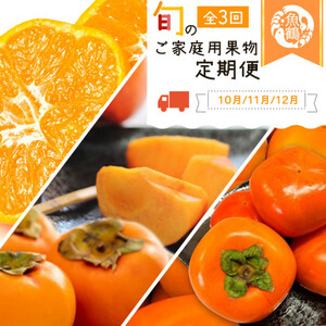 【発送月固定定期便】紀州和歌山産旬のご家庭用果物セット(ひらたね・富有柿・みかん)全3回【配送不可地域：離島】【4001468】