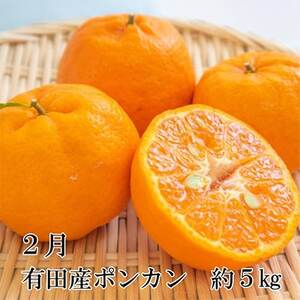 【発送月固定定期便】和歌山の春柑橘定期便全3回【4004526】