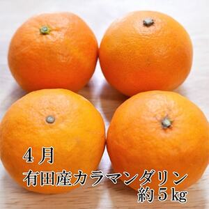 【発送月固定定期便】和歌山の春柑橘定期便全3回【4004526】