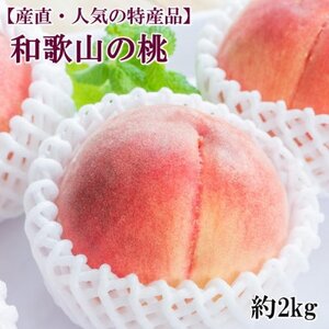 【産直・人気の特産品】和歌山の桃　約2kg・秀品【2025年度発送分】(日高町)【配送不可地域：離島・北海道・沖縄県】【1218058】