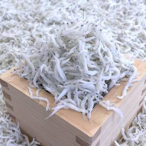 釜あげしらす 化粧箱入り900g【配送不可地域：離島・北海道・沖縄県】【1293031】