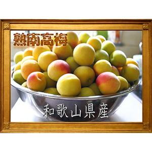 2026/6月より発送【梅干し・梅酒用】紀州和歌山の熟南高生梅3Lor2L-2kg【配送不可地域：離島・北海道・沖縄県】【1294806】