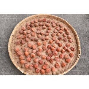 2026/6月より発送【梅干し・梅酒用】紀州和歌山の熟南高生梅　MorL-2kg【配送不可地域：離島・北海道・沖縄県】【1294812】