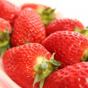 【2026年1月発送】和歌山県産ブランドいちご「まりひめ」約300g×4パック入り(日高町)【配送不可地域：離島・北海道・沖縄県】【1305369】