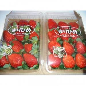 【2026年1月発送】和歌山県産ブランドいちご「まりひめ」約300g×4パック入り(日高町)【配送不可地域：離島・北海道・沖縄県】【1305369】