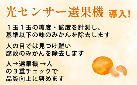 ＜2024年11月より発送＞家庭用 完熟有田みかん5kg+150g(傷み補償分)【わけあり・訳あり】【配送不可地域：離島・北海道・沖縄県】【1313205】