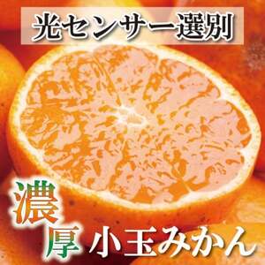 ＜11月より発送＞家庭用 小玉な有田みかん4.5kg+135g(傷み補償分)【わけあり・訳あり】【配送不可地域：離島・北海道・沖縄県】【1313210】