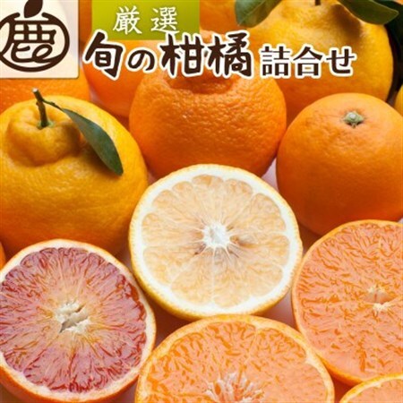 厳選 柑橘詰合せ5kg+250g(傷み補償分)【有田の春みかん・フルーツ詰め合せ】【光センサー選別】【配送不可地域：離島・北海道・沖縄県】【1335454】