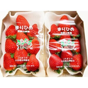 紀州和歌山ブランドいちご「まりひめ」約280g×2P【配送不可地域:離島・北海道・沖縄県】【1343154】