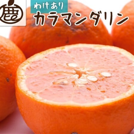 家庭用 カラマンダリン2.5kg+250g(傷み補償分)【南津海・なつみ】【希少な春柑橘】【訳あり】【配送不可地域：離島・北海道・沖縄県】【1442271】