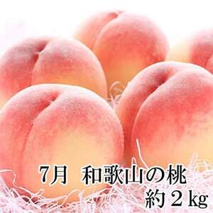 【発送月固定定期便】和歌山の夏の人気フルーツ定期便 全3回【配送不可地域:離島・北海道・沖縄県】【4004345】