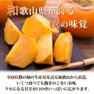 【先行受付】和歌山秋の味覚　平核無柿(ひらたねなしがき)　約7.5kg【日高町】【1216958】