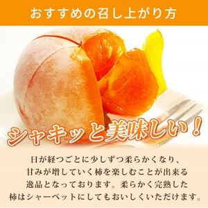 【先行受付】和歌山秋の味覚　平核無柿(ひらたねなしがき)　約7.5kg【日高町】【1216958】