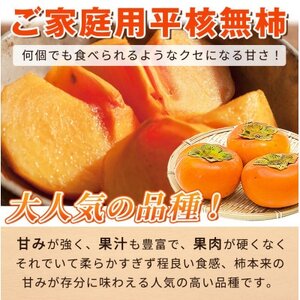 【先行受付】【日高町】【ご家庭用わけあり】和歌山秋の味覚 平核無柿(ひらたねなしがき) 約7.5kg【1217363】
