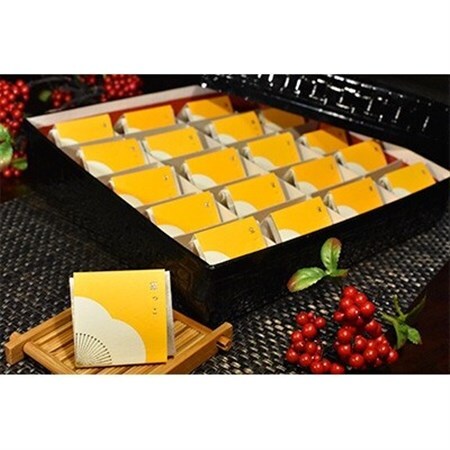 高級南高梅はちみつ梅個包装20粒入 紀州塗箱 網代模様仕上【1465313】 11,520円