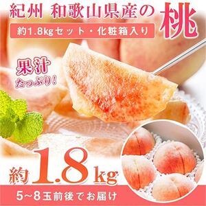 【発送月固定定期便】紀州和歌山産旬のフルーツセット(不知火・清見・スイカ・桃・柿・みかん)全6回【配送不可地域：離島・北海道・沖縄県】【4005767】