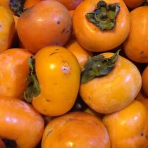 【2026年度発送】和歌山産たねなし柿ご家庭用約7.5kg(サイズおまかせまたは混合)【日高町】【配送不可地域:離島】【1218072】