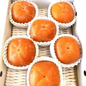 【秋の味覚】和歌山産たねなし柿約2kg  化粧箱入り(2L～4Lサイズ)【日高町】2026年度発送【配送不可地域：離島】【1218075】