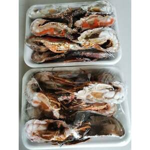 冷凍伊勢海老カット【サイズ不揃い 約2kg】(日高町)【配送不可地域:離島】【1248376】