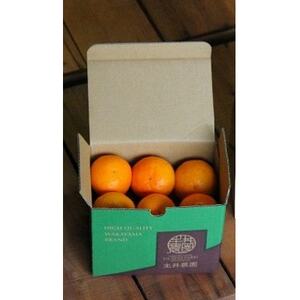 主井農園の松兵衛みかんご家庭用1kgお試し(サイズ混合)【配送不可地域：離島】【1464778】