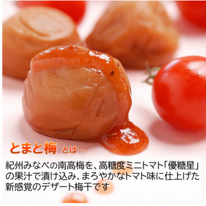 tomato-ume とまと梅【1464884】