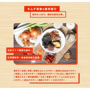 おうちで本格キムチ革命 3セット　キムチの素　漬物(日高町)【1481720】