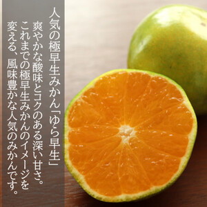 【先行受付】和歌山産　ゆら早生みかん　贈答用　秀品　約5kg箱入り　2S～2Lサイズ【1482414】