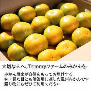 【先行受付】和歌山産　ゆら早生みかん　贈答用　秀品　約5kg箱入り　2S～2Lサイズ【1482414】