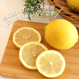 【ノーワックス】国産 紀州 レモン 約3kg(サイズおまかせ)　★先行受付★【1484257】