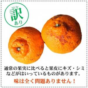 【訳あり】不知火(しらぬい・しらぬひ) 約5kg (農家お助けサイズおまかせ)【デコポンと同品種】【配送不可地域：離島・北海道・沖縄県】【1484259】