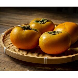 アンポ干し柿用平核無(ヒラタネナシ)生渋柿AP-約4.5-5kg　約22～35果実【1293226】