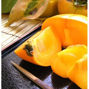 たねなし柿3Lサイズ-28個詰7.5kg入箱【1294082】