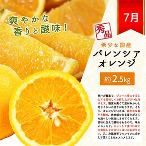 【発送月固定定期便】紀州和歌山産旬の柑橘セット(みかん・なつみ・バレンシア)全3回【配送不可地域：離島】【4011933】