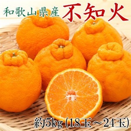 和歌山県産不知火約5kg(18玉～24玉おまかせ)(日高町)【1493810】