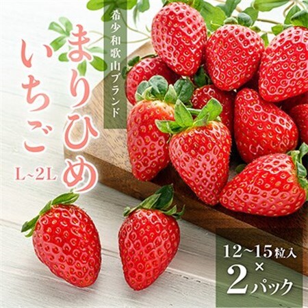 先行受付　まりひめイチゴ L～2L 12粒～15粒×2パック【配送不可地域：離島】【1494230】