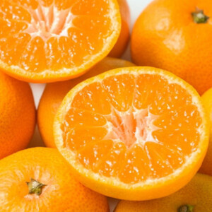 [秀品]和歌山有田みかん約6kg大玉(3Lサイズ)「2025年11月中旬より順次発送」【日高町】【1497900】