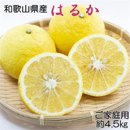 【さわやか柑橘】和歌山県産はるかみかん約4.5kg(サイズ混合　ご家庭用)【日高町】【1500857】