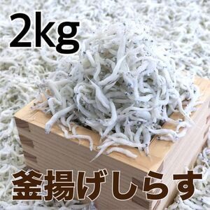 釜揚げしらす2kg(500g×4パック)【配送不可地域：離島・北海道・沖縄県】【1500904】