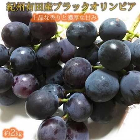 紀州有田産ブラックオリンピア(ハチミツぶどう)　約2kg【配送不可地域：離島・北海道・沖縄県】【1511662】