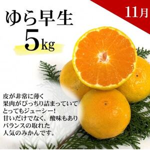 【発送月固定定期便】どの坂果樹園自慢の柑橘定期便(ゆら早生・完熟みかん・不知火) 各約5kg全3回【配送不可地域:離島・北海道・沖縄県】【4052457】