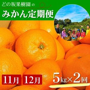 【発送月固定定期便】みかん好きのためのみかん定期便(ゆら早生みかん・完熟みかん)　各5kg　全2回【配送不可地域：離島・北海道・沖縄県】【4052463】