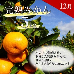 【発送月固定定期便】みかん好きのためのみかん定期便(ゆら早生みかん・完熟みかん)　各5kg　全2回【配送不可地域：離島・北海道・沖縄県】【4052463】