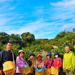 【発送月固定定期便】みかん好きのためのみかん定期便(ゆら早生みかん・完熟みかん)　各5kg　全2回【配送不可地域：離島・北海道・沖縄県】【4052463】