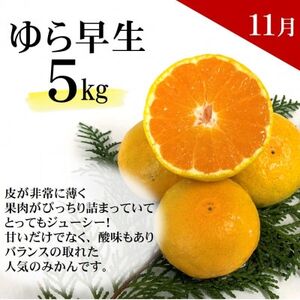 【発送月固定定期便】ご家庭用 2種のみかん定期便 (ゆら早生みかん・完熟みかん)各約5kg全2回【配送不可地域：離島・北海道・沖縄県】【4052396】