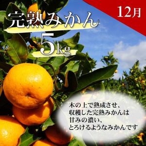 【発送月固定定期便】ご家庭用 2種のみかん定期便 (ゆら早生みかん・完熟みかん)各約5kg全2回【配送不可地域：離島・北海道・沖縄県】【4052396】