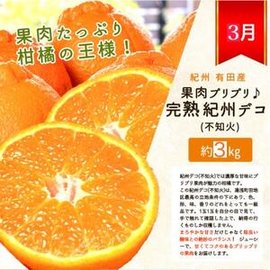 【発送月固定定期便】紀州和歌山産旬のフルーツセット(田村みかん・いちご・紀州デコ)全3回【配送不可地域：離島・北海道・沖縄県】【4052589】
