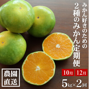 【発送月固定定期便】みかん好きに食べてほしい 2種のみかん定期便　各5kg【贈答用・秀品】全2回【配送不可地域：離島・北海道・沖縄県】【4053555】